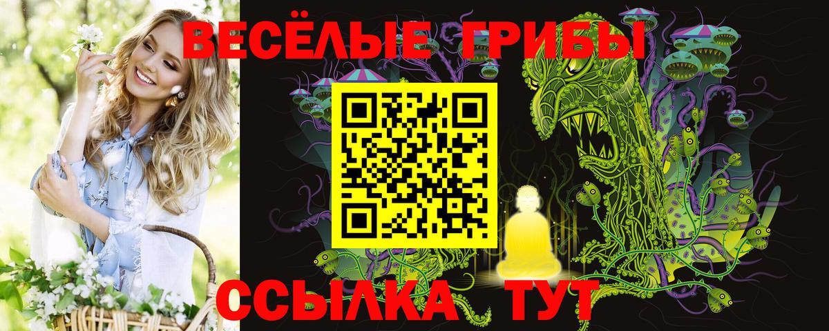 Галлюциногенные грибы GOLDEN TEACHER  Вход с VPN  Муравленко  Галлюциногенные грибы мухоморы 
